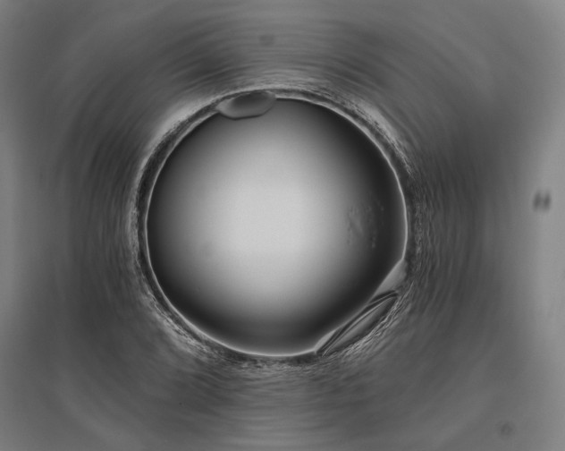 X0000096181072200801181307