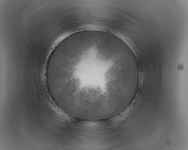 X0000096181074200801181307