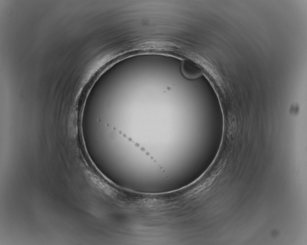 X0000096181075200801181307