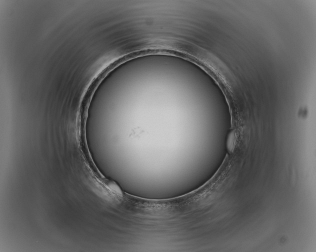 X0000096181076200801181307