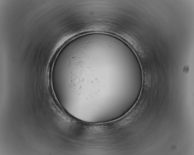 X0000096181078200801181307