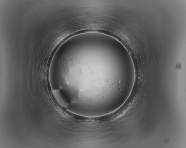 X0000096181081200801181307