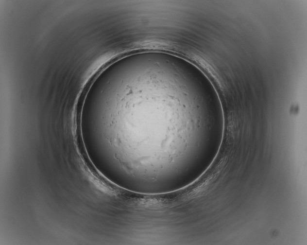 X0000096181082200801181307