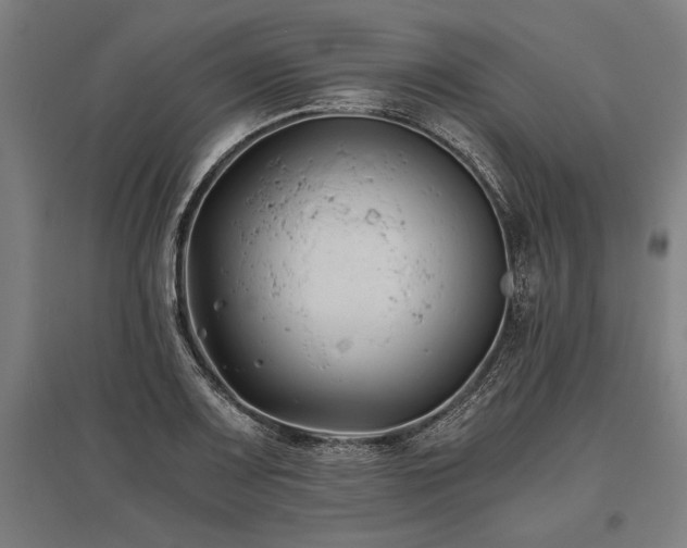 X0000096181083200801181307