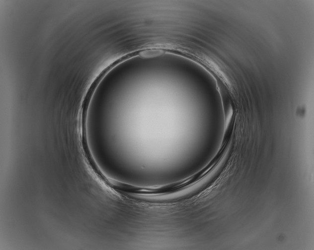 X0000096181084200801181307