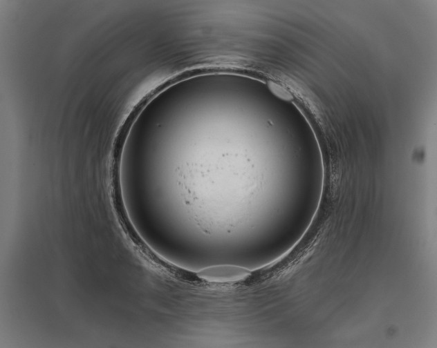 X0000096181085200801181307