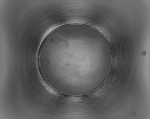 X0000096181086200801181307