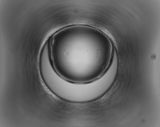 X0000096181088200801181307