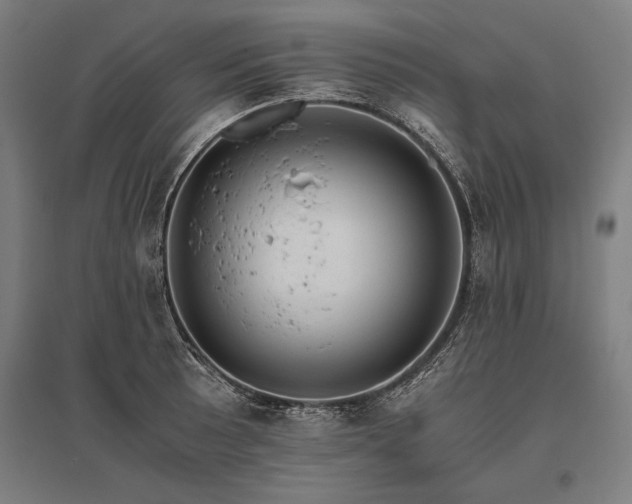 X0000096181089200801181307