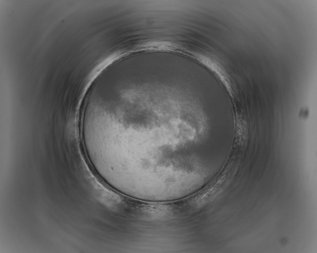 X0000096181090200801181307