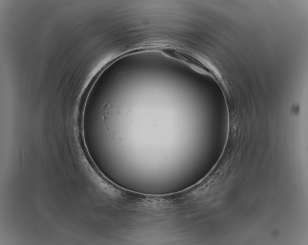 X0000096181091200801181307