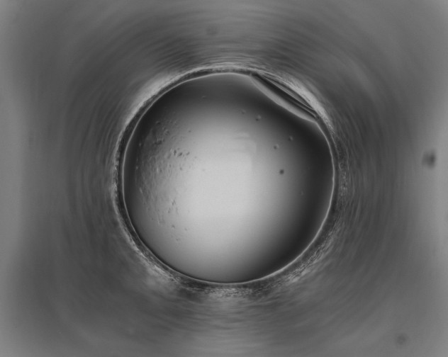 X0000096181093200801181307