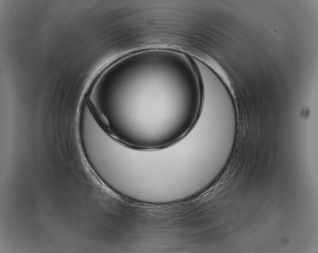 X0000096181096200801181307