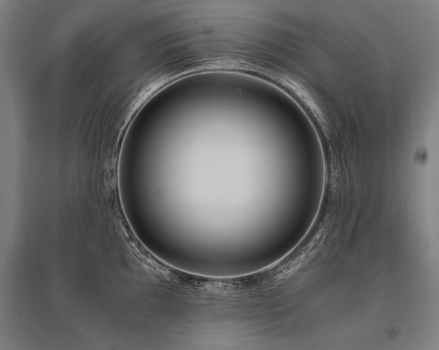 X0000096181097200801181307
