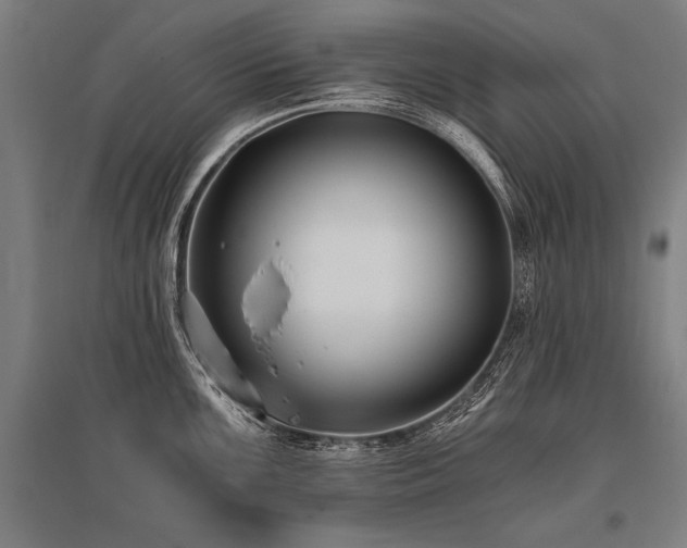 X0000096181099200801181307