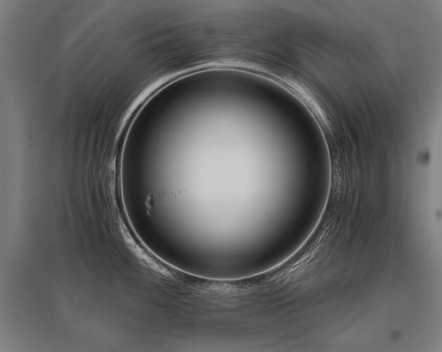 X0000096181100200801181307