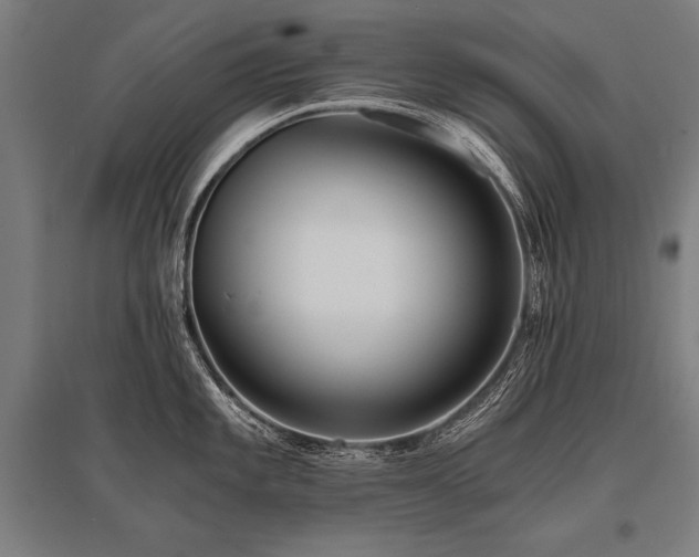 X0000096181101200801181307