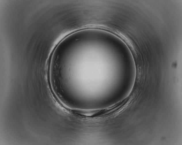 X0000096181102200801181307