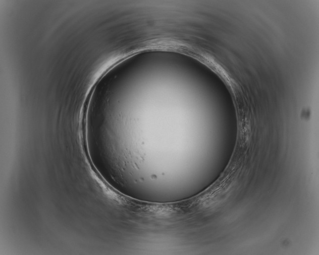X0000096181103200801181307