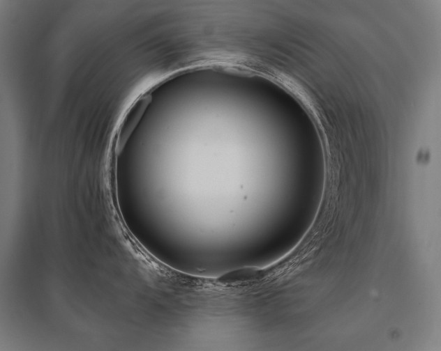 X0000096181104200801181307