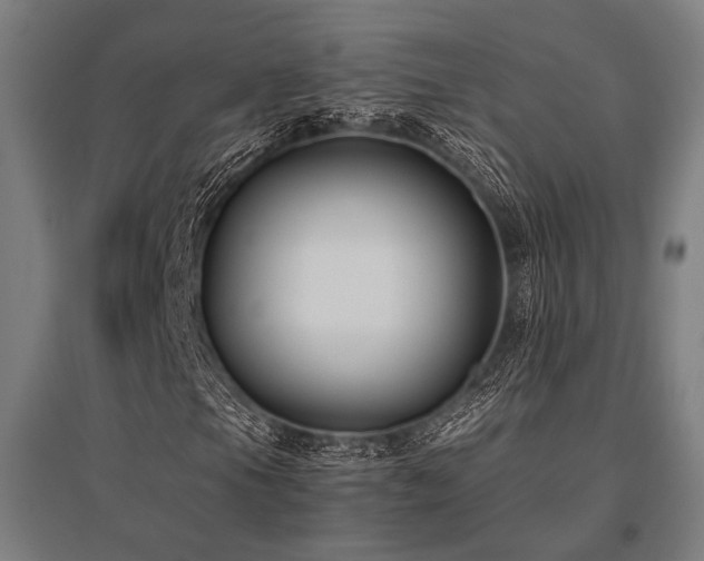 X0000096181105200801181306