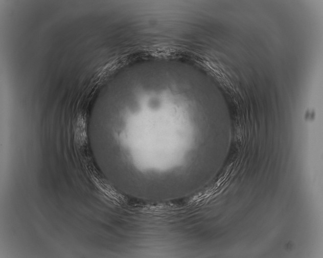 X0000096181106200801181306