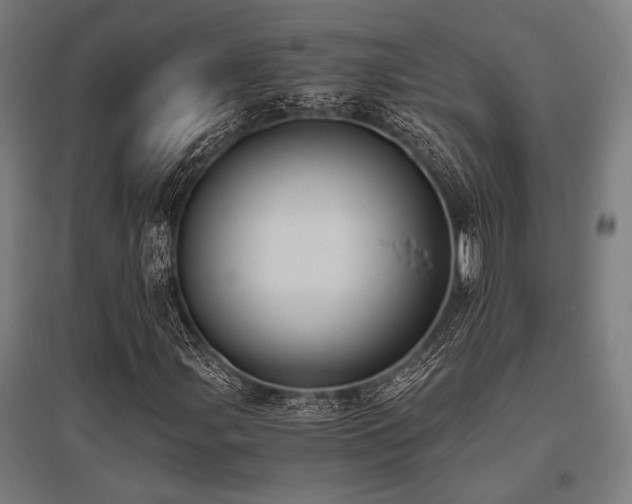 X0000096181107200801181306