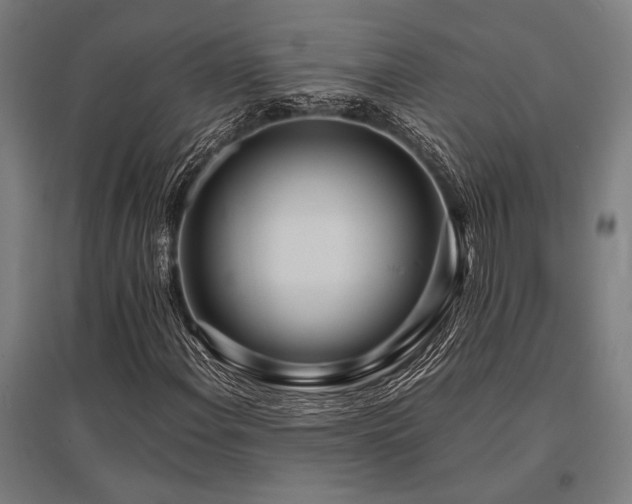 X0000096181108200801181306
