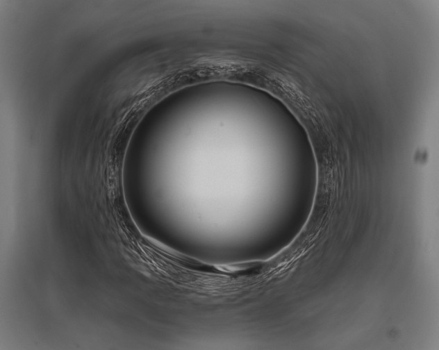 X0000096181109200801181306