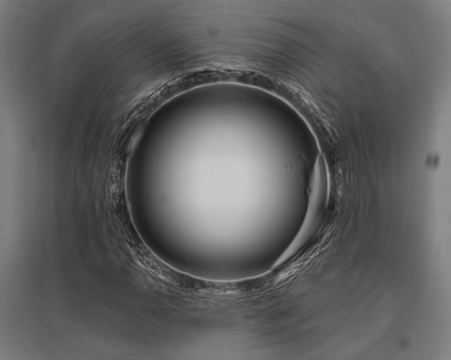 X0000096181110200801181306