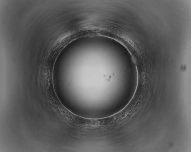 X0000096181111200801181306