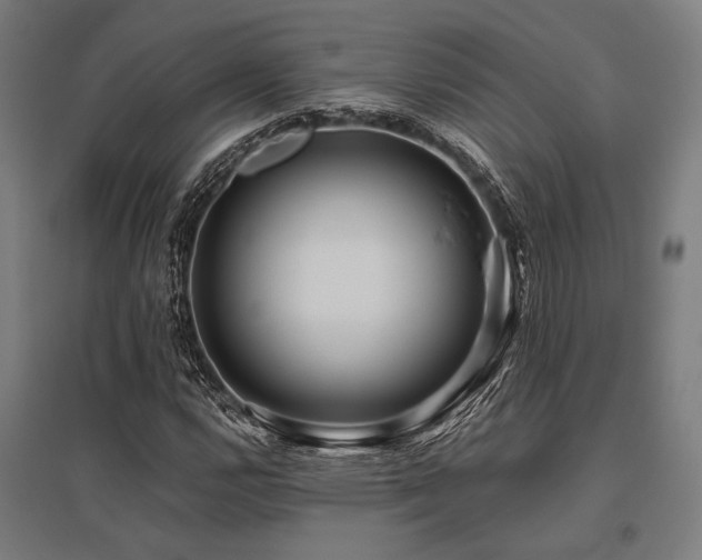 X0000096181112200801181306