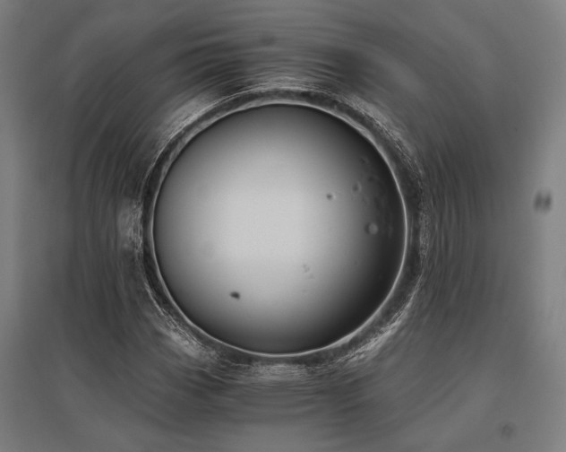 X0000096181113200801181306