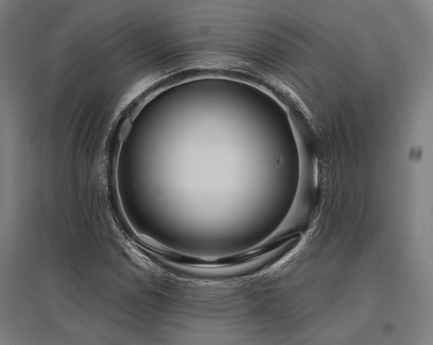 X0000096181114200801181306