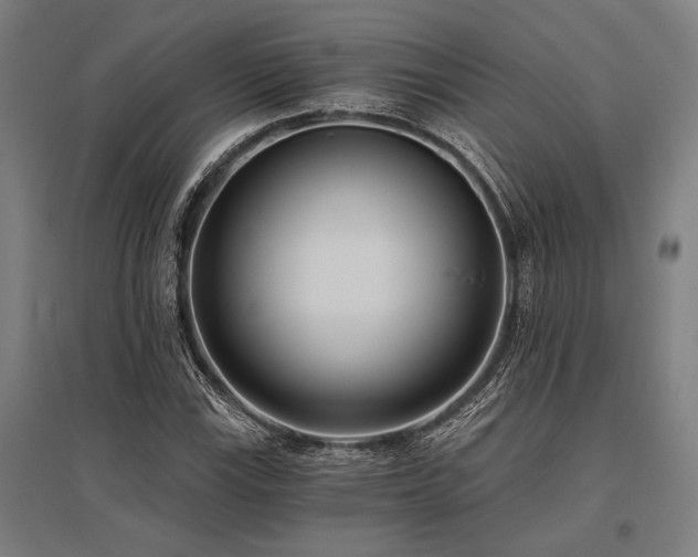 X0000096181115200801181306