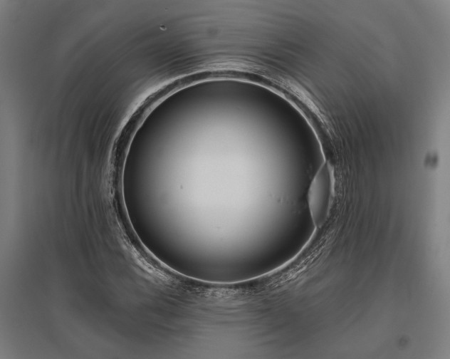 X0000096181116200801181306