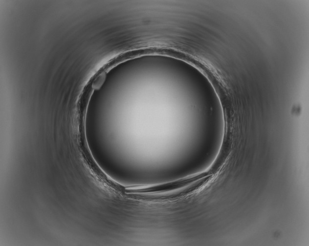 X0000096181118200801181306