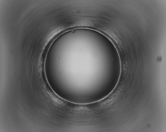 X0000096181119200801181306