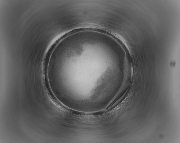 X0000096181120200801181306