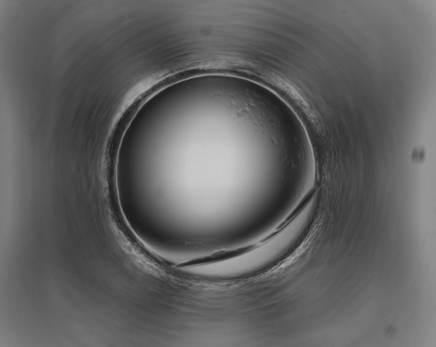 X0000096181122200801181306