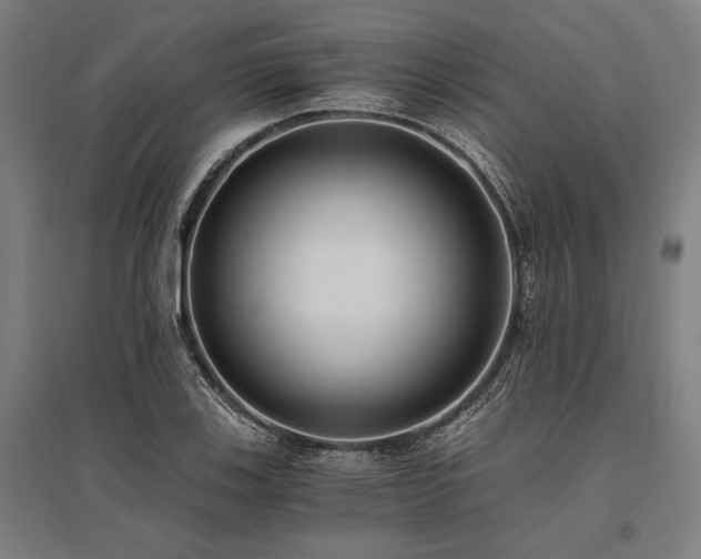 X0000096181123200801181306