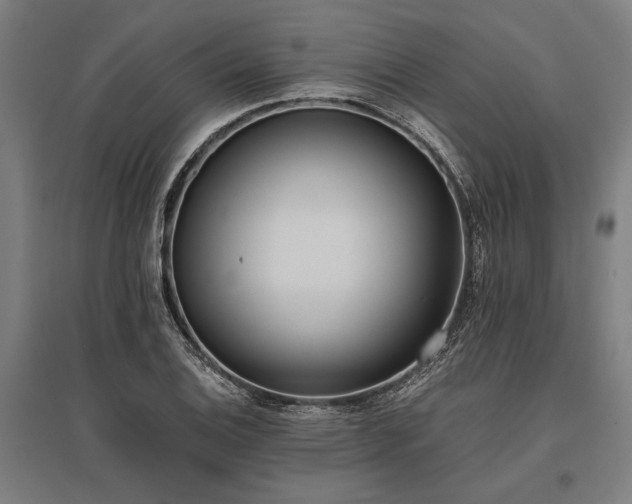 X0000096181124200801181306