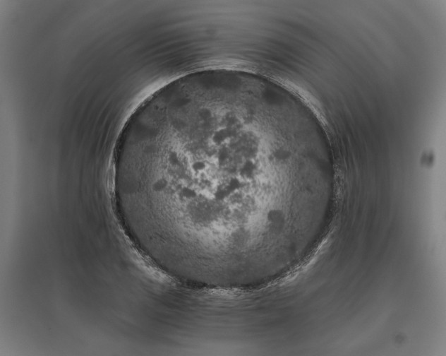 X0000096181125200801181306