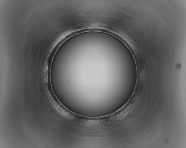 X0000096181126200801181306