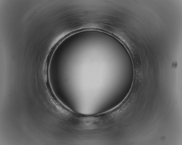 X0000096181127200801181306