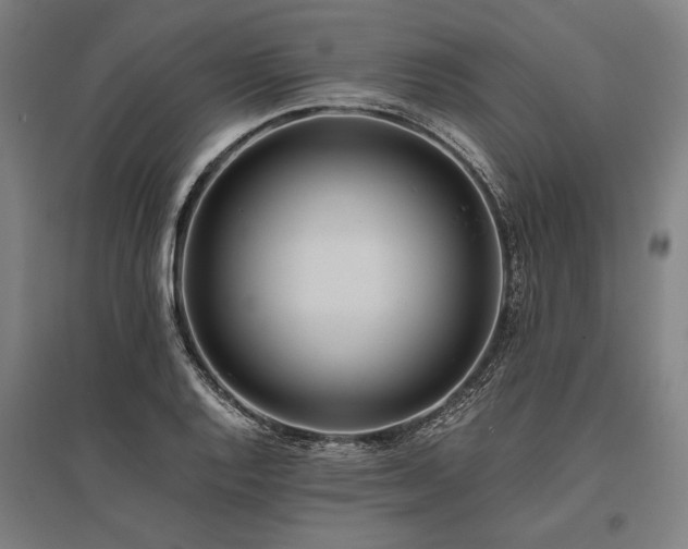 X0000096181128200801181306