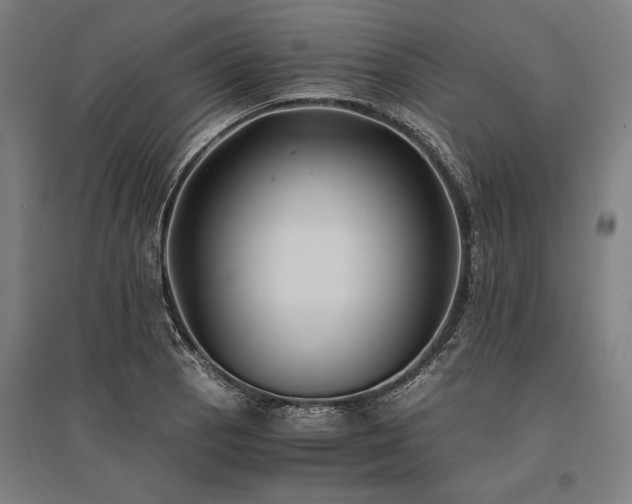 X0000096181129200801181306