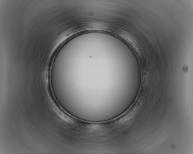 X0000096181130200801181306