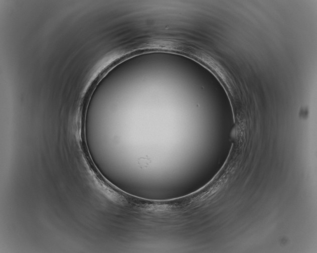 X0000096181131200801181306