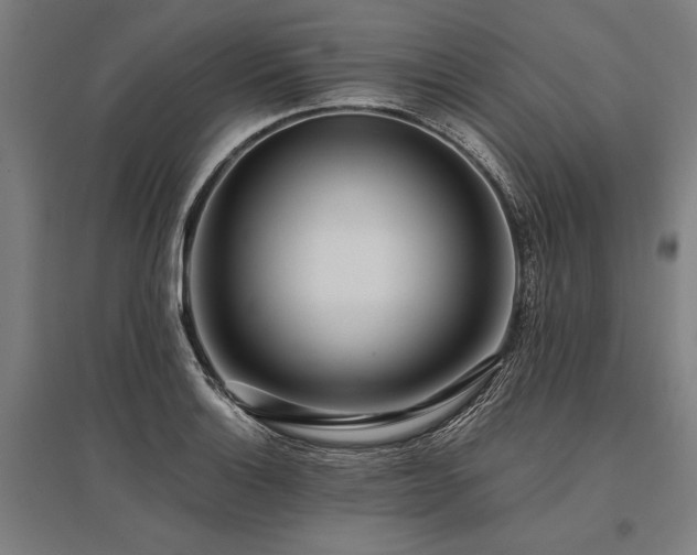 X0000096181132200801181306